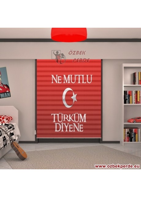 Ne Mutlu Türküm Diyene Zebra Perdesi